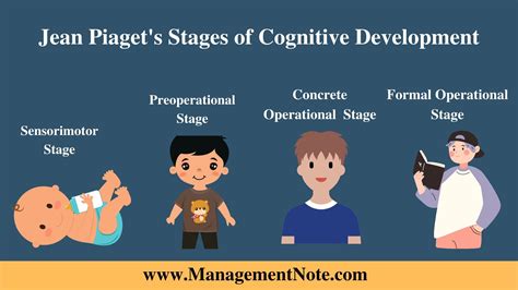 piaget stage 4|piaget's operational stage.